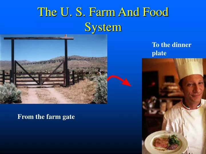 the u s farm and food system