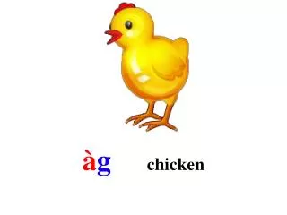 g chicken