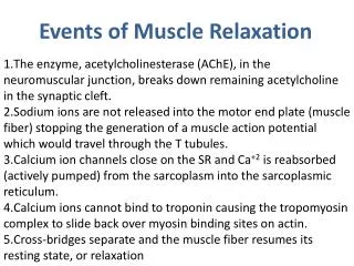 Events of Muscle Relaxation