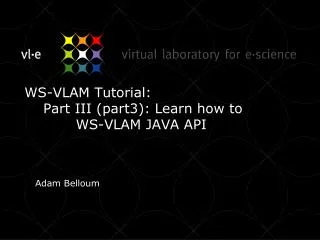 WS-VLAM Tutorial: Part III (part3): Learn how to WS-VLAM JAVA API