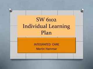SW 6102 Individual Learning Plan