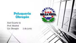 peluquer a obreg n