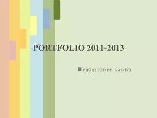 PORTFOLIO 2011-2013