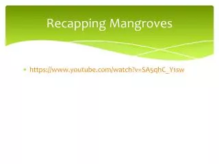 Recapping Mangroves