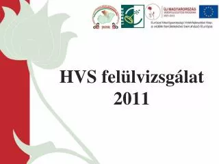 hvs fel lvizsg lat 2011