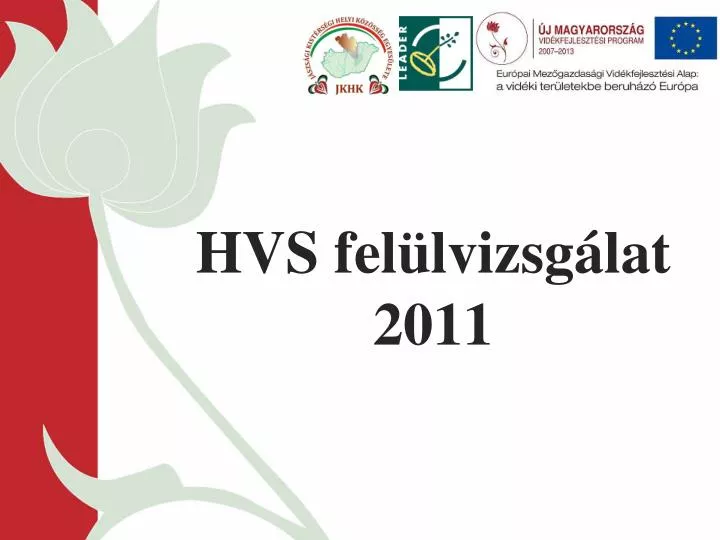 hvs fel lvizsg lat 2011