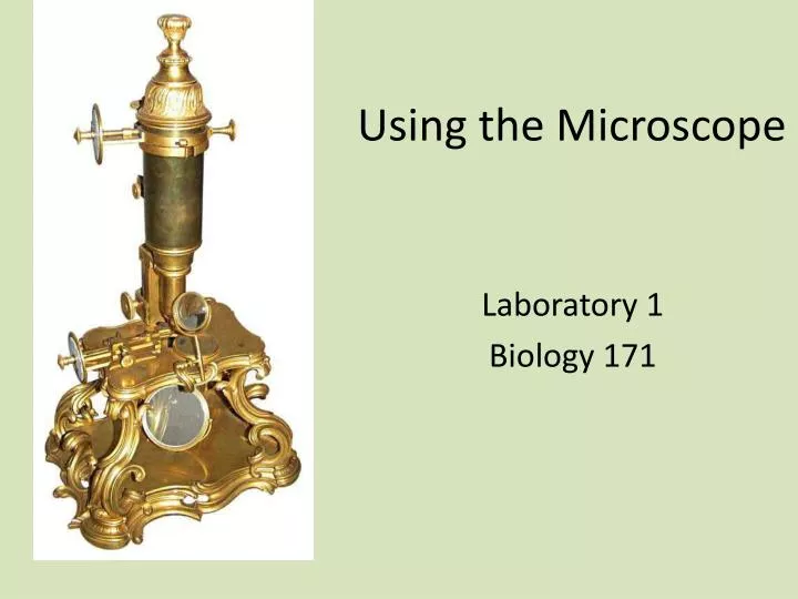 using the microscope