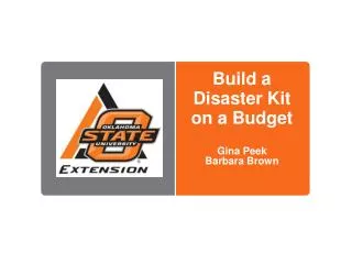Build a Disaster Kit on a Budget