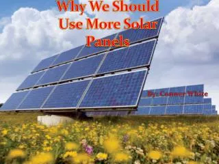 Why We Should Use More Solar Panels
