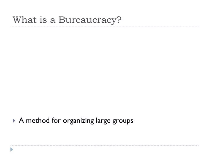 what is a bureaucracy