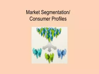 Market Segmentation/ Consumer Profiles