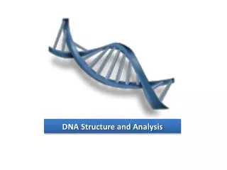 DNA Structure and Analysis
