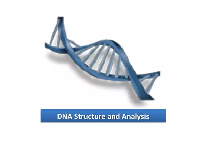 dna structure and analysis