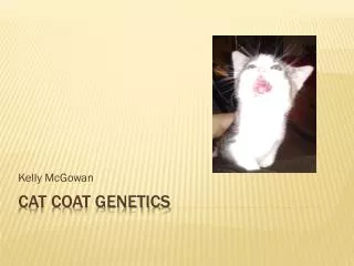 Cat Coat Genetics