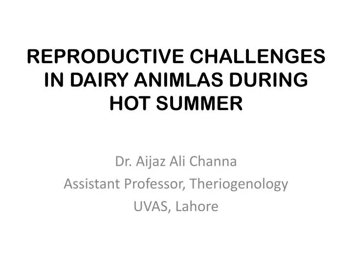 reproductive challenges in dairy animlas during hot summer