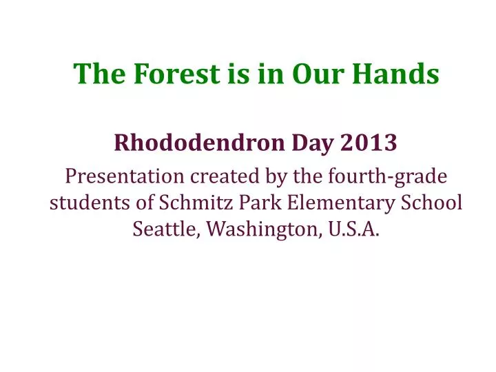 the forest is in our hands