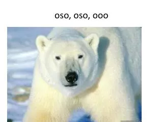 o so oso ooo