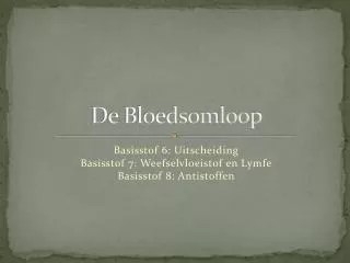 de bloedsomloop