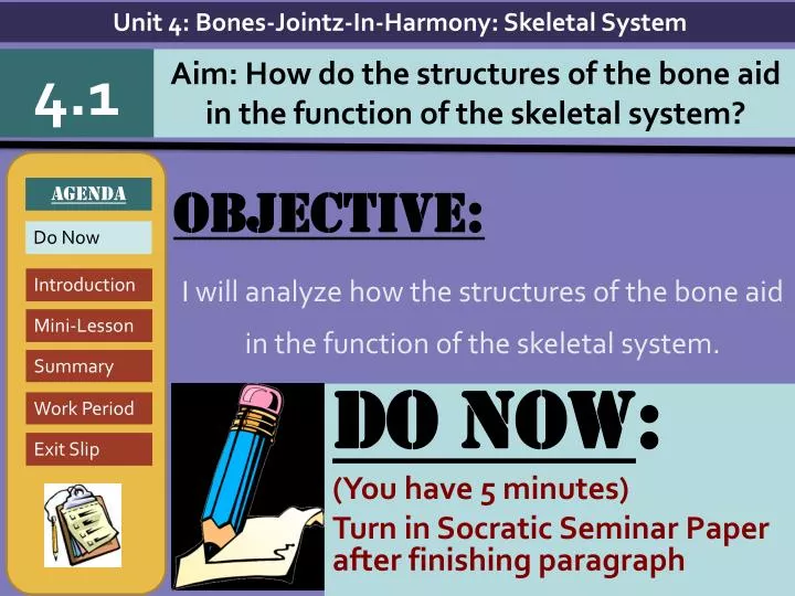objective i will analyze how the structures of the bone aid in the function of the skeletal system