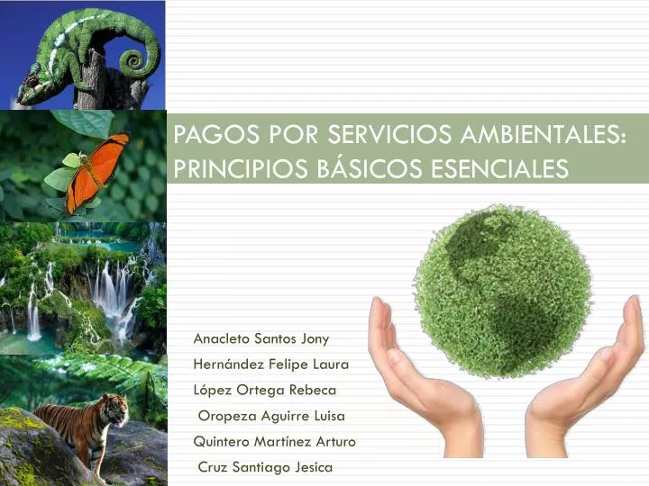pagos por servicios ambientales principios b sicos esenciales