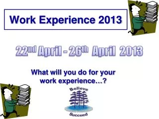 Work Experience 2013