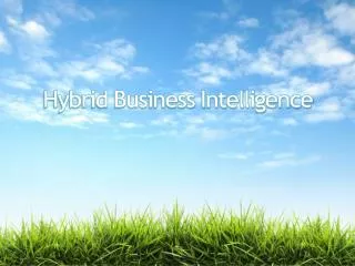 Hybrid Business Intelligence