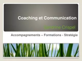accompagnements formations strat gie