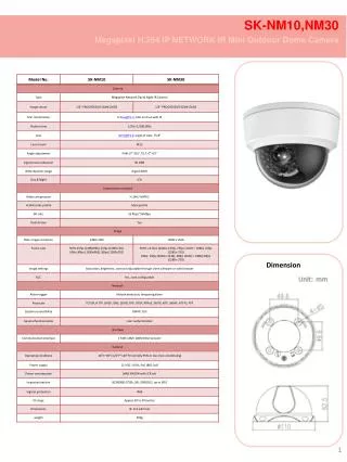 SK-NM10,NM30 Megapixel H.264 IP NETWORK IR Mini Outdoor Dome Camera