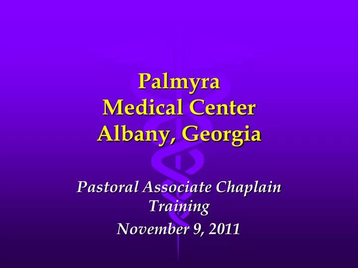 palmyra medical center albany georgia