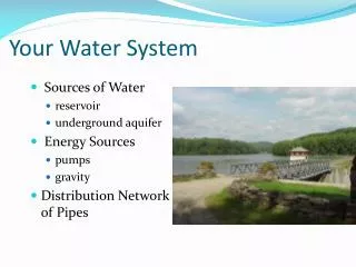 Your Water System