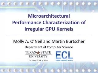 Microarchitectural Performance Characterization of Irregular GPU Kernels