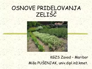 osnove pridelovanja zeli