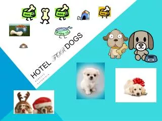 Hotel for dogs