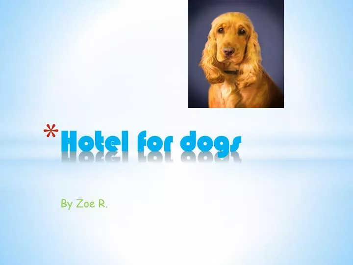 hotel for dogs