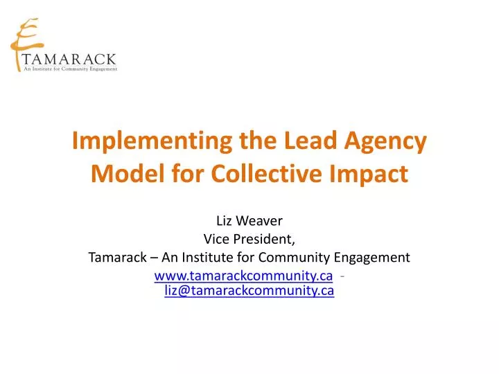 implementing the lead agency model for collective impact