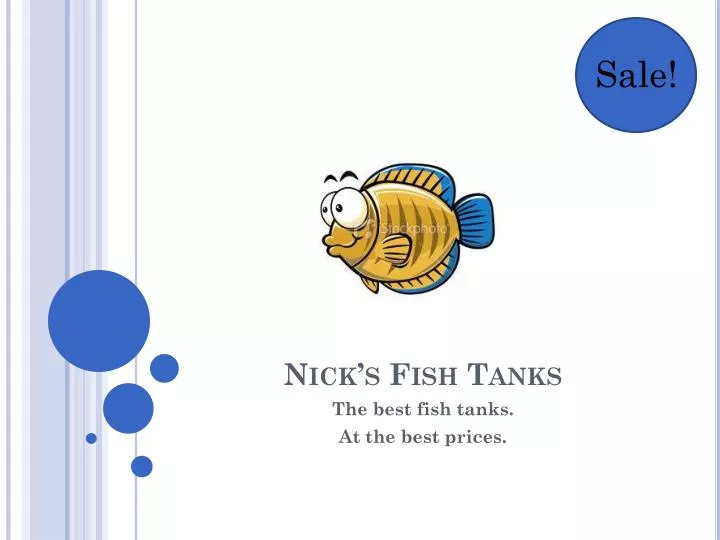 nick s fish tanks