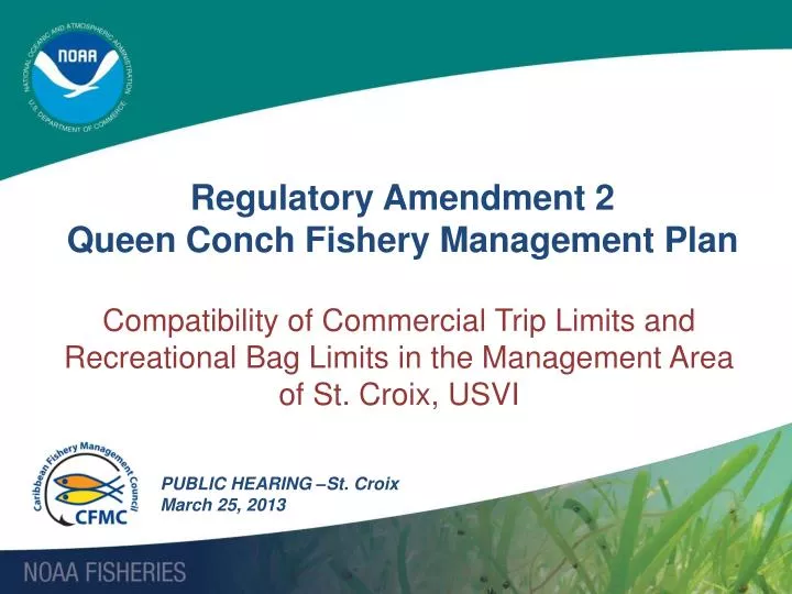 regulatory amendment 2 queen conch fishery management plan