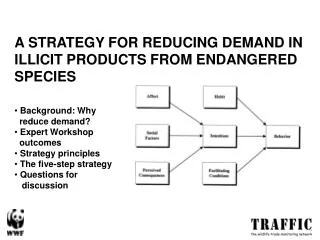 A STRATEGY FOR REDUCING DEMAND IN ILLICIT PRODUCTS FROM ENDANGERED SPECIES Background: Why