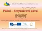 Ptáci – hmyzožraví pěvci - slide 1