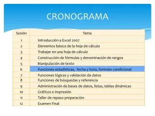 cronograma