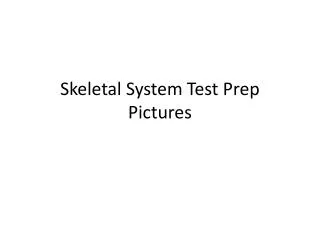 skeletal system test prep pictures