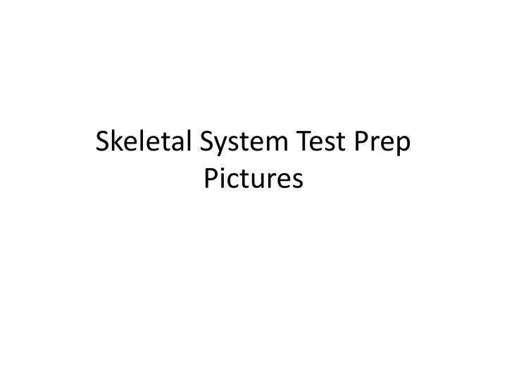 skeletal system test prep pictures