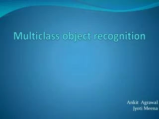 Multiclass object recognition