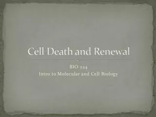 Cell Death and Renewal
