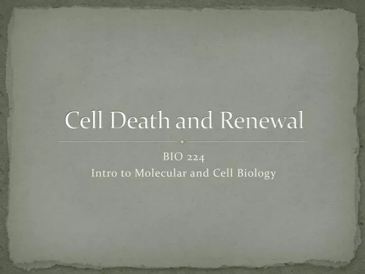 cell death and renewal