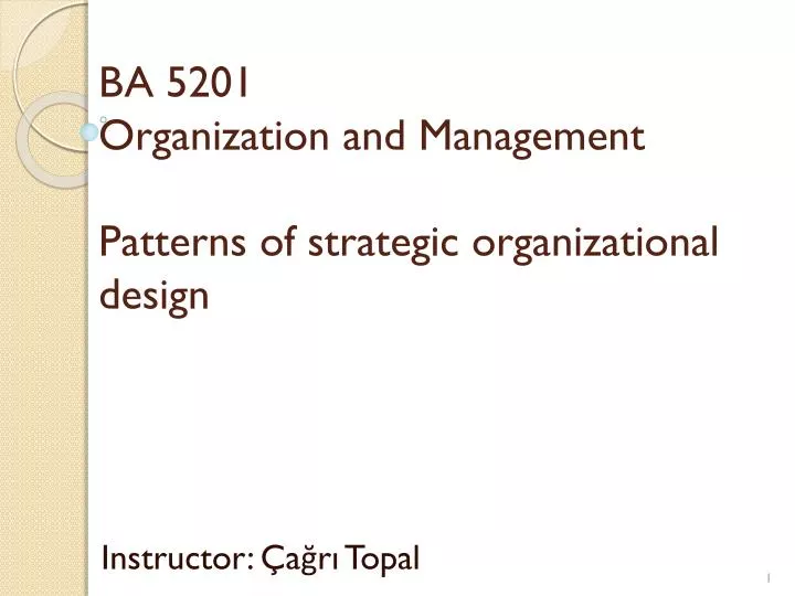 ba 5201 organization and management patterns of strategic organizational design