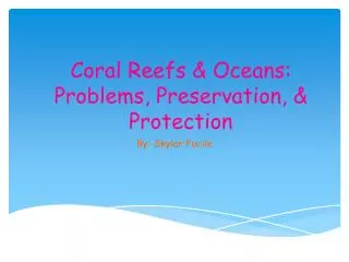 Coral Reefs &amp; Oceans: Problems, Preservation, &amp; Protection