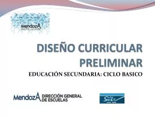 dise o curricular preliminar