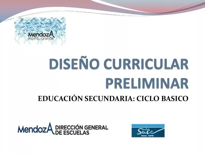 dise o curricular preliminar