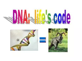 DNA: life's code